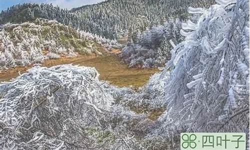 武隆仙女山景区天气_武隆仙女山天气预报7天精准