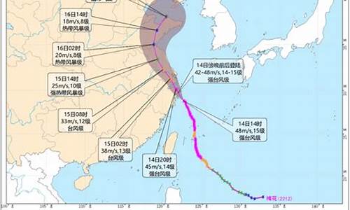 台风路径浙江省水利厅_浙江省水利厅浙江政务服务网台风路径门图